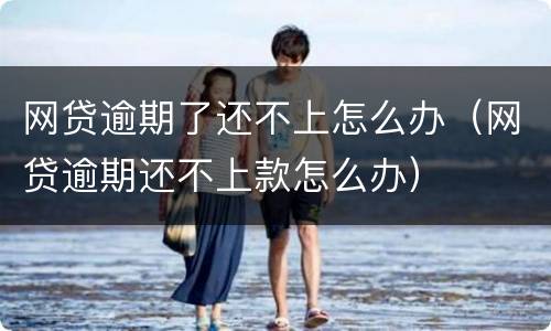 网贷逾期了还不上怎么办（网贷逾期还不上款怎么办）