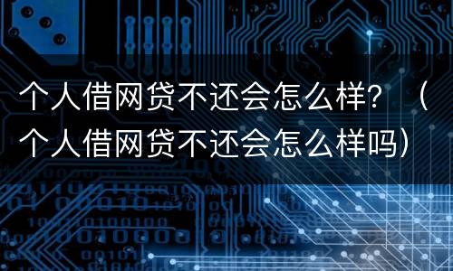 个人借网贷不还会怎么样？（个人借网贷不还会怎么样吗）