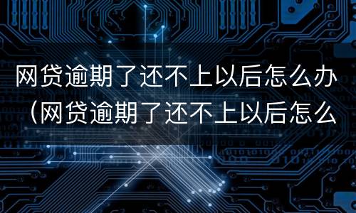 网贷逾期了还不上以后怎么办（网贷逾期了还不上以后怎么办呢）