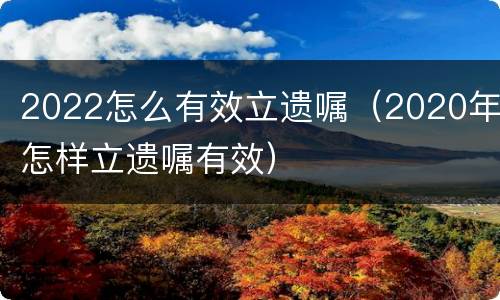 2022怎么有效立遗嘱（2020年怎样立遗嘱有效）