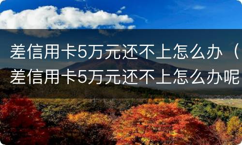 差信用卡5万元还不上怎么办（差信用卡5万元还不上怎么办呢）