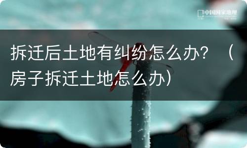 拆迁后土地有纠纷怎么办？（房子拆迁土地怎么办）