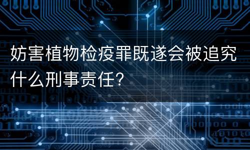 妨害植物检疫罪既遂会被追究什么刑事责任?