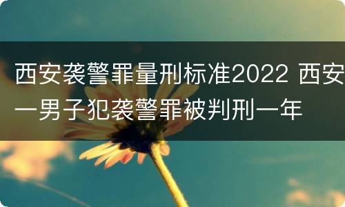 西安袭警罪量刑标准2022 西安一男子犯袭警罪被判刑一年