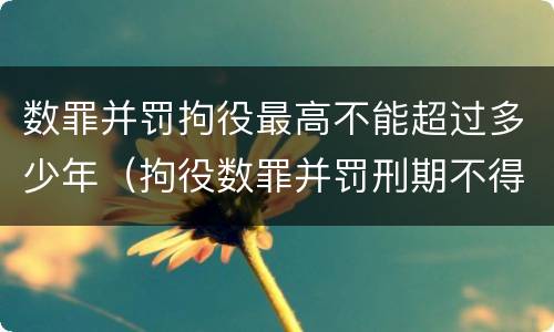 数罪并罚拘役最高不能超过多少年（拘役数罪并罚刑期不得超过）