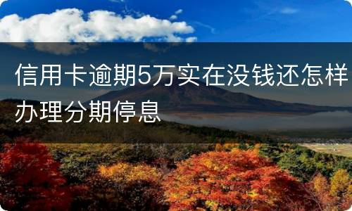 信用卡逾期5万实在没钱还怎样办理分期停息
