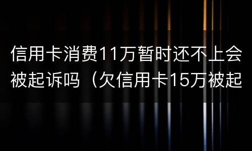 信用卡消费11万暂时还不上会被起诉吗（欠信用卡15万被起诉了会怎么样）