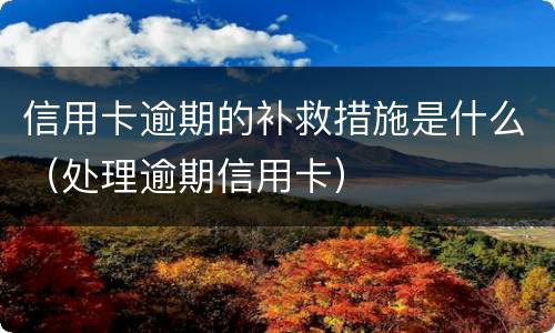 信用卡逾期的补救措施是什么（处理逾期信用卡）