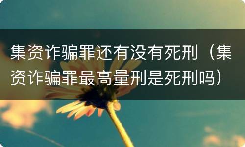 集资诈骗罪还有没有死刑（集资诈骗罪最高量刑是死刑吗）