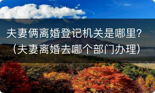 夫妻俩离婚登记机关是哪里？（夫妻离婚去哪个部门办理）