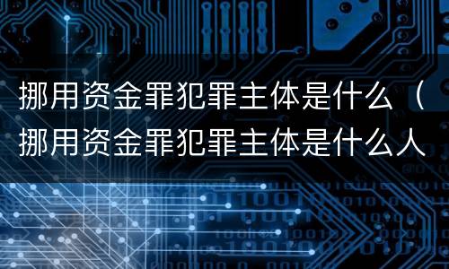 挪用资金罪犯罪主体是什么（挪用资金罪犯罪主体是什么人）