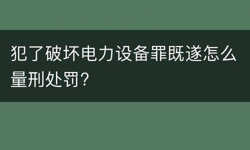 犯了破坏电力设备罪既遂怎么量刑处罚?