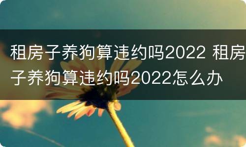 租房子养狗算违约吗2022 租房子养狗算违约吗2022怎么办