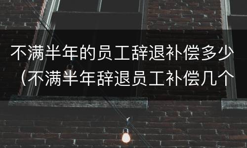 不满半年的员工辞退补偿多少（不满半年辞退员工补偿几个月工资）