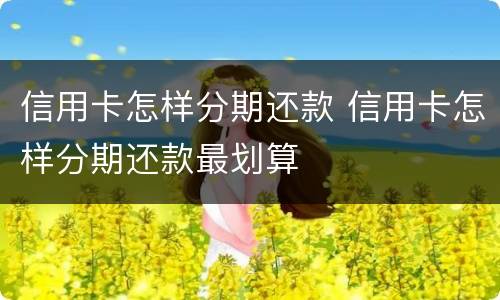 信用卡怎样分期还款 信用卡怎样分期还款最划算