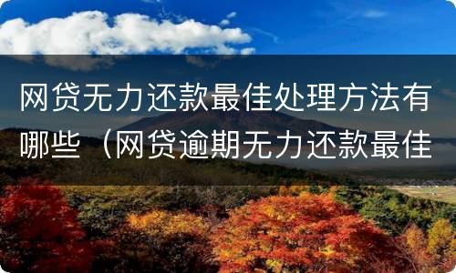 网贷无力还款最佳处理方法有哪些（网贷逾期无力还款最佳处理方法）