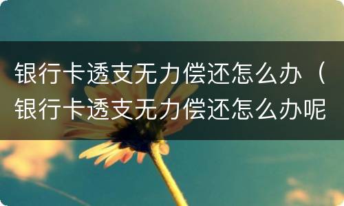 银行卡透支无力偿还怎么办（银行卡透支无力偿还怎么办呢）