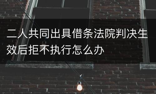 二人共同出具借条法院判决生效后拒不执行怎么办