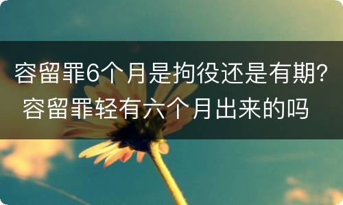 容留罪6个月是拘役还是有期？ 容留罪轻有六个月出来的吗
