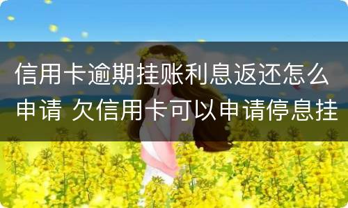 信用卡逾期挂账利息返还怎么申请 欠信用卡可以申请停息挂账吗