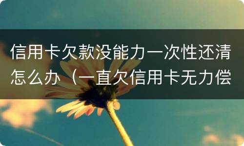 信用卡欠款没能力一次性还清怎么办（一直欠信用卡无力偿还）