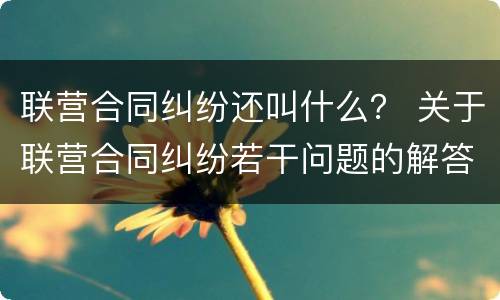 联营合同纠纷还叫什么？ 关于联营合同纠纷若干问题的解答