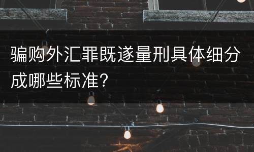骗购外汇罪既遂量刑具体细分成哪些标准?