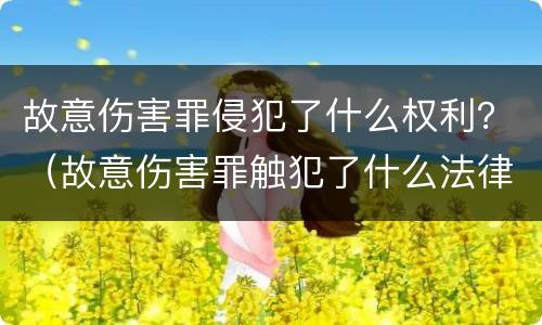 故意伤害罪侵犯了什么权利？（故意伤害罪触犯了什么法律）