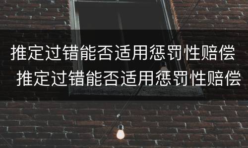 推定过错能否适用惩罚性赔偿 推定过错能否适用惩罚性赔偿法