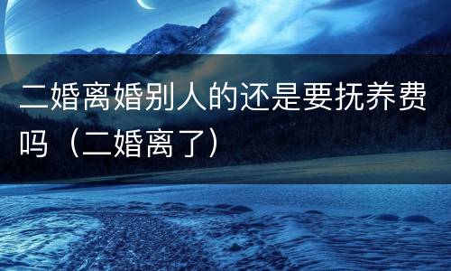 二婚离婚别人的还是要抚养费吗（二婚离了）