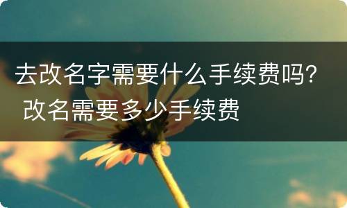 去改名字需要什么手续费吗？ 改名需要多少手续费