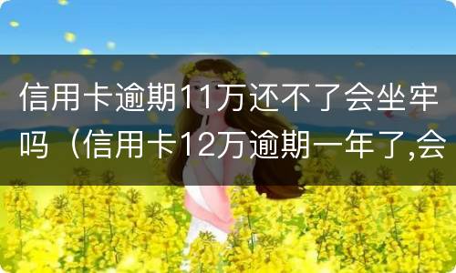 信用卡逾期11万还不了会坐牢吗（信用卡12万逾期一年了,会不会坐牢）