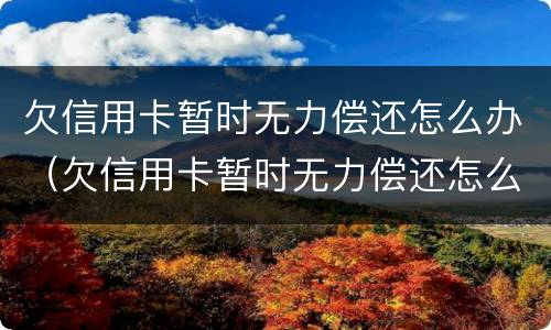 欠信用卡暂时无力偿还怎么办（欠信用卡暂时无力偿还怎么办呢）