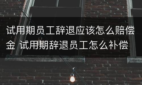 试用期员工辞退应该怎么赔偿金 试用期辞退员工怎么补偿
