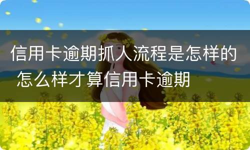 信用卡逾期抓人流程是怎样的 怎么样才算信用卡逾期