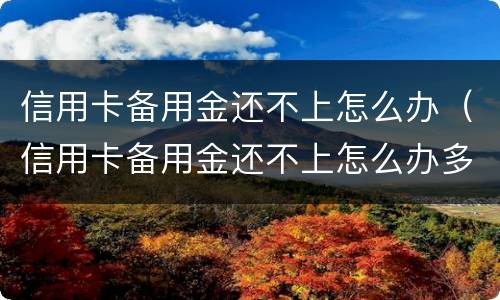 信用卡备用金还不上怎么办（信用卡备用金还不上怎么办多久会起诉）