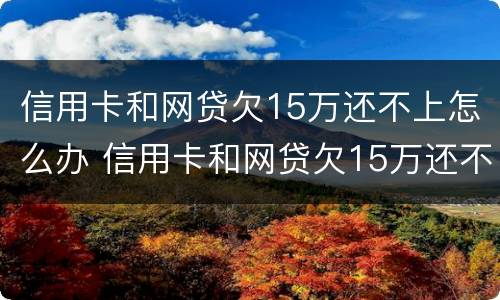信用卡和网贷欠15万还不上怎么办 信用卡和网贷欠15万还不上怎么办呀