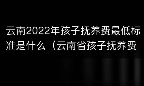 云南2022年孩子抚养费最低标准是什么（云南省孩子抚养费标准）