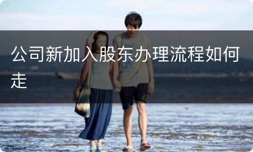 公司新加入股东办理流程如何走