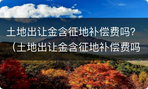 土地出让金含征地补偿费吗？（土地出让金含征地补偿费吗合法吗）
