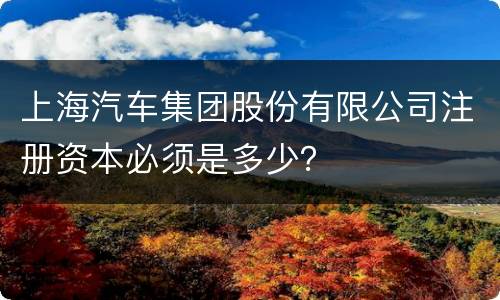 上海汽车集团股份有限公司注册资本必须是多少？