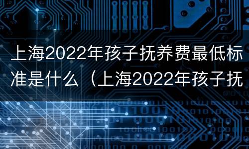 上海2022年孩子抚养费最低标准是什么（上海2022年孩子抚养费最低标准是什么时候发放）