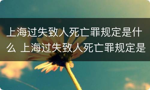 上海过失致人死亡罪规定是什么 上海过失致人死亡罪规定是什么时候实施