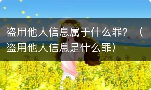 盗用他人信息属于什么罪？（盗用他人信息是什么罪）
