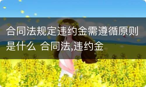 合同法规定违约金需遵循原则是什么 合同法,违约金