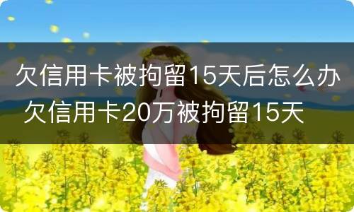 欠信用卡被拘留15天后怎么办 欠信用卡20万被拘留15天