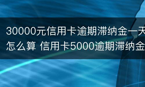 30000元信用卡逾期滞纳金一天怎么算 信用卡5000逾期滞纳金