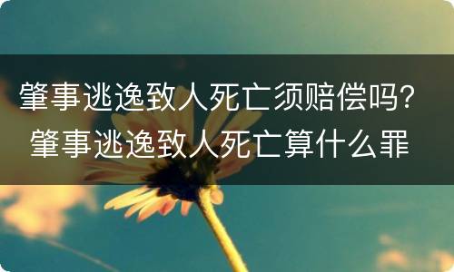 肇事逃逸致人死亡须赔偿吗？ 肇事逃逸致人死亡算什么罪