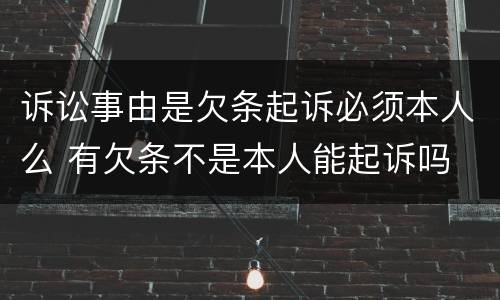 诉讼事由是欠条起诉必须本人么 有欠条不是本人能起诉吗