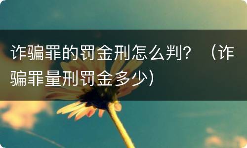 诈骗罪的罚金刑怎么判？（诈骗罪量刑罚金多少）